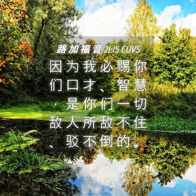 Picture 04 - 路 加 福 音 21:15 CUVS - 因 为 我 必 赐 你 们 口 才 、 智 慧 - Bible Verse Picture