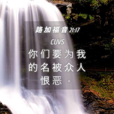 Picture 04 - 路 加 福 音 21:17 CUVS - 你 们 要 为 我 的 名 被 众 人 恨 恶 - Bible Verse Picture