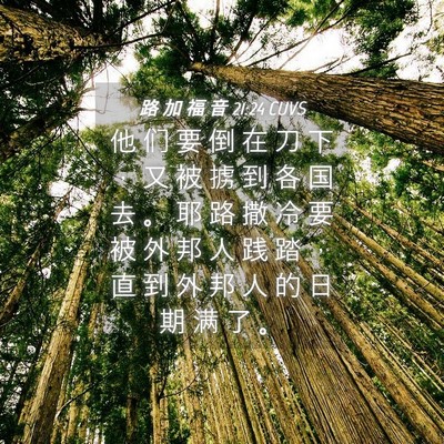Picture 04 - 路 加 福 音 21:24 CUVS - 他 们 要 倒 在 刀 下 ， 又 被 掳 到 - Bible Verse Picture