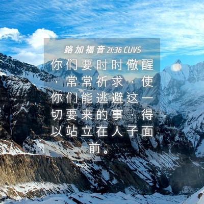 Picture 04 - 路 加 福 音 21:36 CUVS - 你 们 要 时 时 儆 醒 ， 常 常 祈 求 - Bible Verse Picture