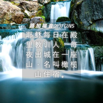 Picture 04 - 路 加 福 音 21:37 CUVS - 耶 稣 每 日 在 殿 里 教 训 人 ， 每 - Bible Verse Picture