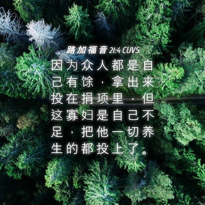 Picture 04 - 路 加 福 音 21:4 CUVS - 因 为 众 人 都 是 自 己 有 馀 ， 拿 - Bible Verse Picture