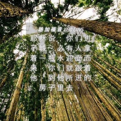 Picture 04 - 路 加 福 音 22:10 CUVS - 耶 稣 说 ： 你 们 进 了 城 ， 必 有 - Bible Verse Picture