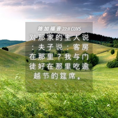 Picture 04 - 路 加 福 音 22:11 CUVS - 对 那 家 的 主 人 说 ： 夫 子 说 ： - Bible Verse Picture