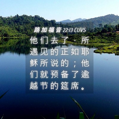 Picture 04 - 路 加 福 音 22:13 CUVS - 他 们 去 了 ， 所 遇 见 的 正 如 耶 - Bible Verse Picture