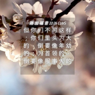 Picture 04 - 路 加 福 音 22:26 CUVS - 但 你 们 不 可 这 样 ； 你 们 里 头 - Bible Verse Picture