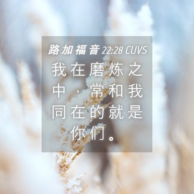 Picture 04 - 路 加 福 音 22:28 CUVS - 我 在 磨 炼 之 中 ， 常 和 我 同 在 - Bible Verse Picture