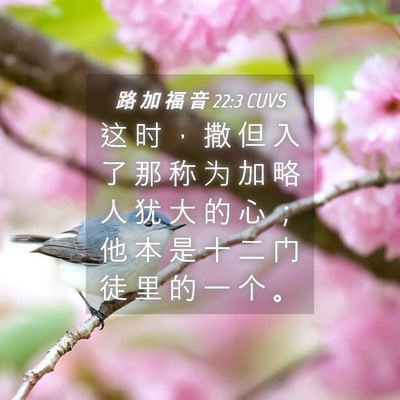 Picture 04 - 路 加 福 音 22:3 CUVS - 这 时 ， 撒 但 入 了 那 称 为 加 略 - Bible Verse Picture