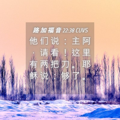 Picture 04 - 路 加 福 音 22:38 CUVS - 他 们 说 ： 主 阿 ， 请 看 ！ 这 里 - Bible Verse Picture