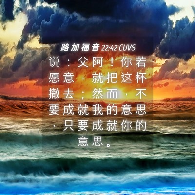 Picture 04 - 路 加 福 音 22:42 CUVS - 说 ： 父 阿 ！ 你 若 愿 意 ， 就 把 - Bible Verse Picture