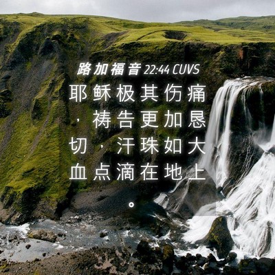 Picture 04 - 路 加 福 音 22:44 CUVS - 耶 稣 极 其 伤 痛 ， 祷 告 更 加 恳 - Bible Verse Picture