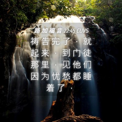 Picture 04 - 路 加 福 音 22:45 CUVS - 祷 告 完 了 ， 就 起 来 ， 到 门 徒 - Bible Verse Picture