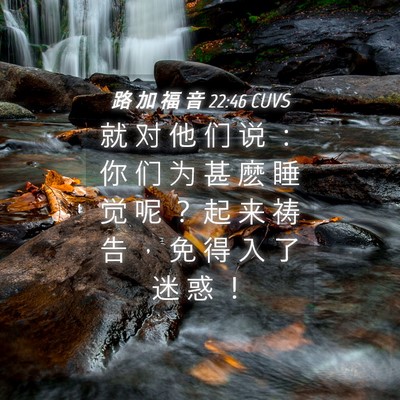 Picture 04 - 路 加 福 音 22:46 CUVS - 就 对 他 们 说 ： 你 们 为 甚 麽 睡 - Bible Verse Picture