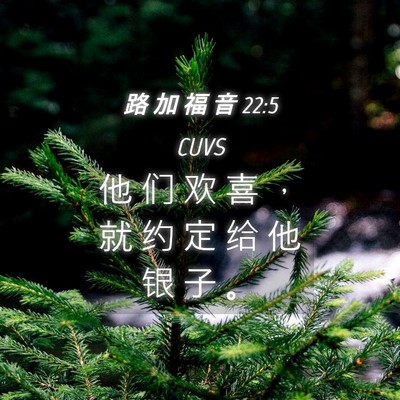 Picture 04 - 路 加 福 音 22:5 CUVS - 他 们 欢 喜 ， 就 约 定 给 他 银 子 - Bible Verse Picture