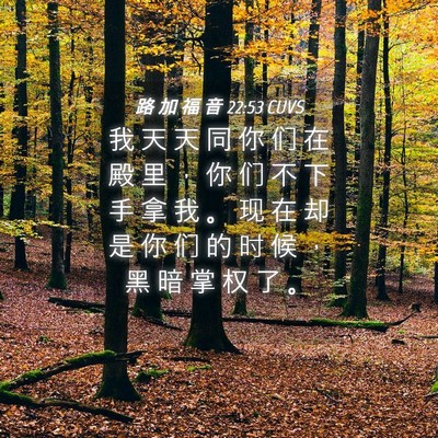 Picture 04 - 路 加 福 音 22:53 CUVS - 我 天 天 同 你 们 在 殿 里 ， 你 们 - Bible Verse Picture