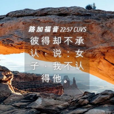 Picture 04 - 路 加 福 音 22:57 CUVS - 彼 得 却 不 承 认 ， 说 ： 女 子 ， - Bible Verse Picture