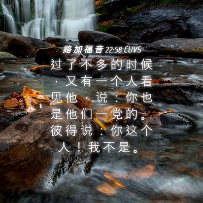 Picture 04 - 路 加 福 音 22:58 CUVS - 过 了 不 多 的 时 候 ， 又 有 一 个 - Bible Verse Picture