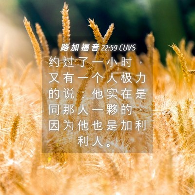 Picture 04 - 路 加 福 音 22:59 CUVS - 约 过 了 一 小 时 ， 又 有 一 个 人 - Bible Verse Picture