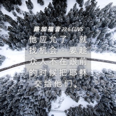 Picture 04 - 路 加 福 音 22:6 CUVS - 他 应 允 了 ， 就 找 机 会 ， 要 趁 - Bible Verse Picture