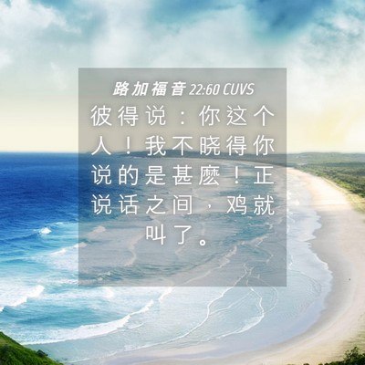 Picture 04 - 路 加 福 音 22:60 CUVS - 彼 得 说 ： 你 这 个 人 ！ 我 不 晓 - Bible Verse Picture