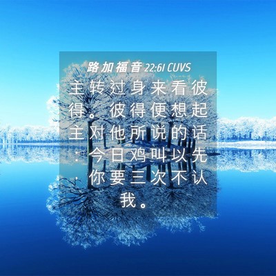 Picture 04 - 路 加 福 音 22:61 CUVS - 主 转 过 身 来 看 彼 得 。 彼 得 便 - Bible Verse Picture