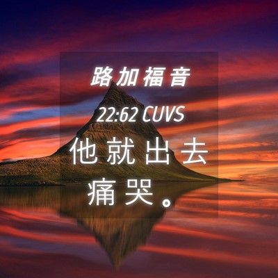 Picture 04 - 路 加 福 音 22:62 CUVS - 他 就 出 去 痛 哭 - Bible Verse Picture