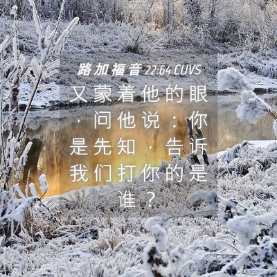 Picture 04 - 路 加 福 音 22:64 CUVS - 又 蒙 着 他 的 眼 ， 问 他 说 ： 你 - Bible Verse Picture