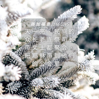 Picture 04 - 路 加 福 音 22:66 CUVS - 天 一 亮 ， 民 间 的 众 长 老 连 祭 - Bible Verse Picture