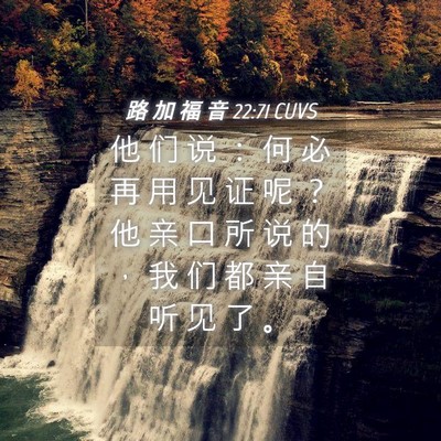 Picture 04 - 路 加 福 音 22:71 CUVS - 他 们 说 ： 何 必 再 用 见 证 呢 ？ - Bible Verse Picture