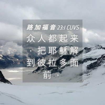 Picture 04 - 路 加 福 音 23:1 CUVS - 众 人 都 起 来 ， 把 耶 稣 解 到 彼 - Bible Verse Picture