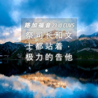 Picture 04 - 路 加 福 音 23:10 CUVS - 祭 司 长 和 文 士 都 站 着 ， 极 力 - Bible Verse Picture
