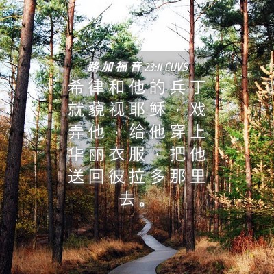 Picture 04 - 路 加 福 音 23:11 CUVS - 希 律 和 他 的 兵 丁 就 藐 视 耶 稣 - Bible Verse Picture