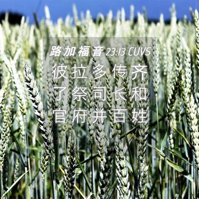 Picture 04 - 路 加 福 音 23:13 CUVS - 彼 拉 多 传 齐 了 祭 司 长 和 官 府 - Bible Verse Picture