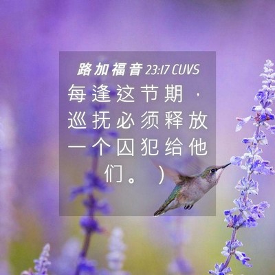 Picture 04 - 路 加 福 音 23:17 CUVS - 每 逢 这 节 期 ， 巡 抚 必 须 释 放 - Bible Verse Picture