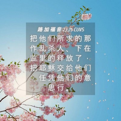 Picture 04 - 路 加 福 音 23:25 CUVS - 把 他 们 所 求 的 那 作 乱 杀 人 、 - Bible Verse Picture