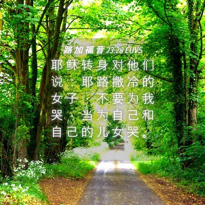 Picture 04 - 路 加 福 音 23:28 CUVS - 耶 稣 转 身 对 他 们 说 ： 耶 路 撒 - Bible Verse Picture