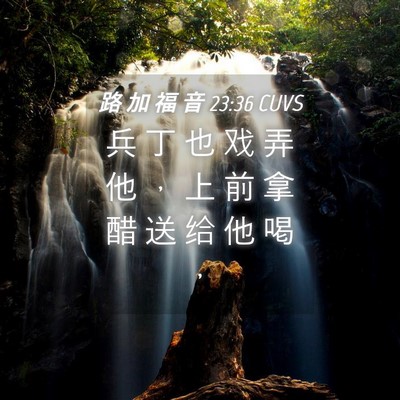 Picture 04 - 路 加 福 音 23:36 CUVS - 兵 丁 也 戏 弄 他 ， 上 前 拿 醋 送 - Bible Verse Picture