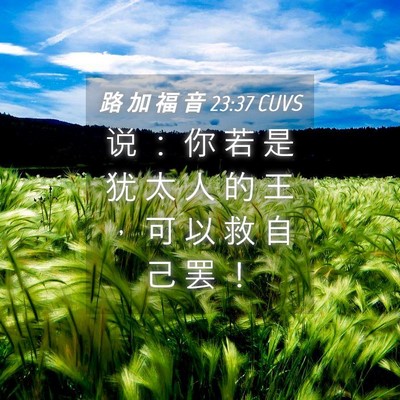 Picture 04 - 路 加 福 音 23:37 CUVS - 说 ： 你 若 是 犹 太 人 的 王 ， 可 - Bible Verse Picture