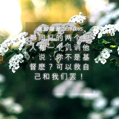 Picture 04 - 路 加 福 音 23:39 CUVS - 那 同 钉 的 两 个 犯 人 有 一 个 讥 - Bible Verse Picture