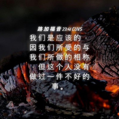 Picture 04 - 路 加 福 音 23:41 CUVS - 我 们 是 应 该 的 ， 因 我 们 所 受 - Bible Verse Picture