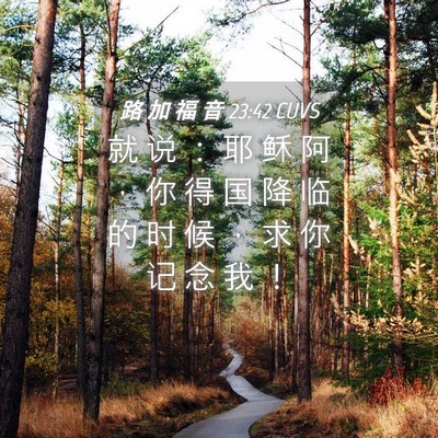 Picture 04 - 路 加 福 音 23:42 CUVS - 就 说 ： 耶 稣 阿 ， 你 得 国 降 临 - Bible Verse Picture