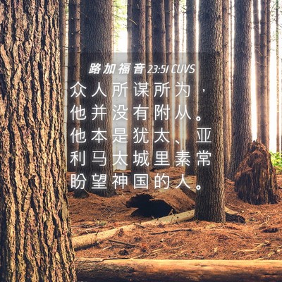 Picture 04 - 路 加 福 音 23:51 CUVS - 众 人 所 谋 所 为 ， 他 并 没 有 附 - Bible Verse Picture