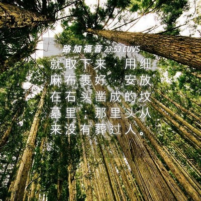 Picture 04 - 路 加 福 音 23:53 CUVS - 就 取 下 来 ， 用 细 麻 布 裹 好 ， - Bible Verse Picture