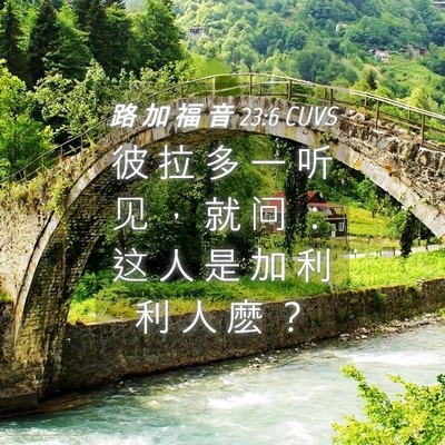 Picture 04 - 路 加 福 音 23:6 CUVS - 彼 拉 多 一 听 见 ， 就 问 ： 这 人 - Bible Verse Picture