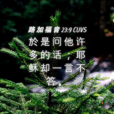 Picture 04 - 路 加 福 音 23:9 CUVS - 於 是 问 他 许 多 的 话 ； 耶 稣 却 - Bible Verse Picture