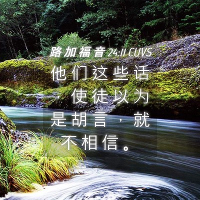 Picture 04 - 路 加 福 音 24:11 CUVS - 他 们 这 些 话 ， 使 徒 以 为 是 胡 - Bible Verse Picture