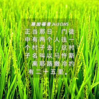 Picture 04 - 路 加 福 音 24:13 CUVS - 正 当 那 日 ， 门 徒 中 有 两 个 人 - Bible Verse Picture