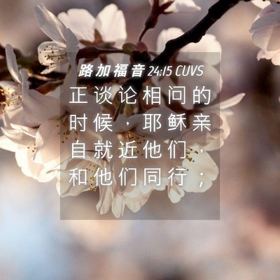 Picture 04 - 路 加 福 音 24:15 CUVS - 正 谈 论 相 问 的 时 候 ， 耶 稣 亲 - Bible Verse Picture