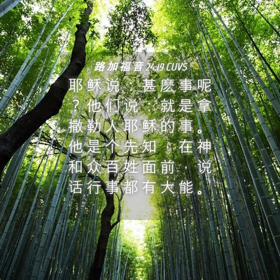 Picture 04 - 路 加 福 音 24:19 CUVS - 耶 稣 说 ： 甚 麽 事 呢 ？ 他 们 说 - Bible Verse Picture
