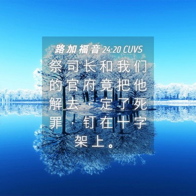 Picture 04 - 路 加 福 音 24:20 CUVS - 祭 司 长 和 我 们 的 官 府 竟 把 他 - Bible Verse Picture